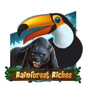 Rainforest Riches
