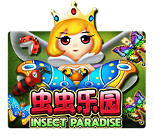 Insect Paradise
