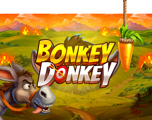 Bonkey Donkey