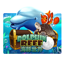 Dolphin Reef