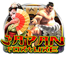 Japan Fortune