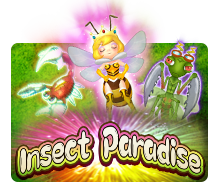 Insect Paradise