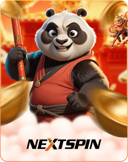 NS Gaming provider logo